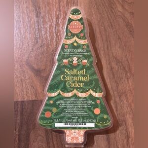 NWT Scentsy Salter Caramel Cider Brick